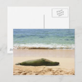 Carte Postale Sceau de moine relaxant (Devant / Derrière)