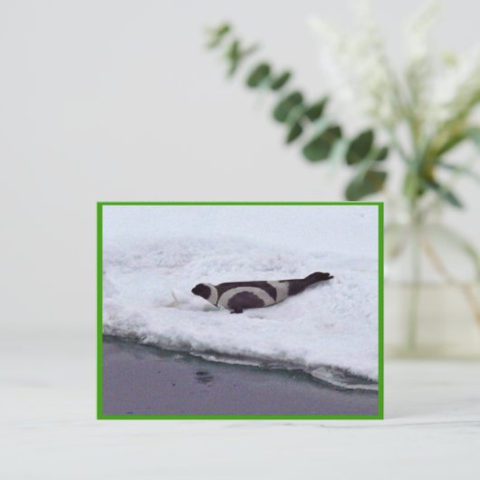 Carte Postale Sceau de ruban (Debout devant)