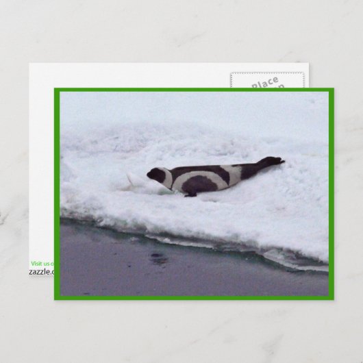 Carte Postale Sceau de ruban (Devant / Derrière)