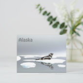 Carte Postale Sceau De Ruban Sur Glace (Debout devant)