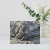 CARTE POSTALE - Sceau éléphant (Debout devant)