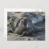 CARTE POSTALE - Sceau éléphant (Devant / Derrière)