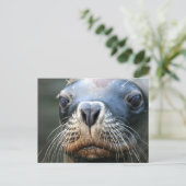 Carte postale Sceau humide (Debout devant)