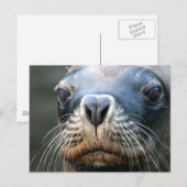 Carte postale Sceau humide (Devant / Derrière)