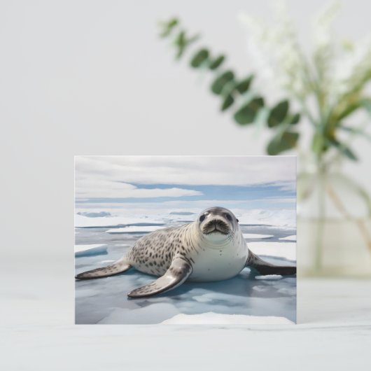 Carte Postale Sceau léopard sur glace (Debout devant)