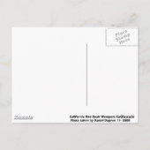 Carte Postale Sceau rouge de Californie (Dos)