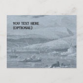 Carte postale Scène Arctique (Devant)