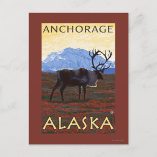 Carte Postale Scène Caribou - Anchorage, Alaska