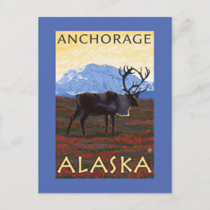 Carte Postale Scène Caribou - Anchorage, Alaska