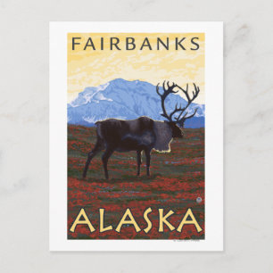 Carte Postale Scène Caribou - Fairbanks, Alaska