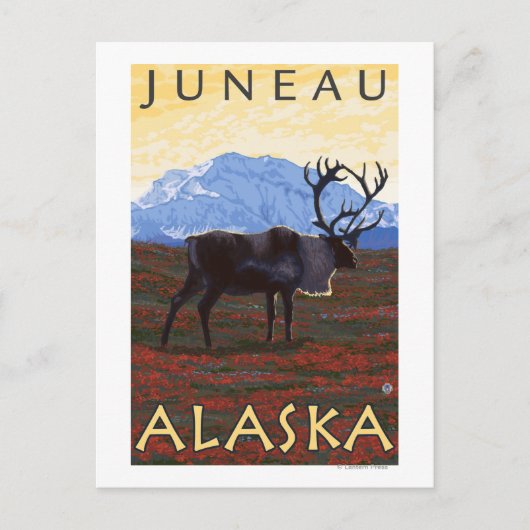 Carte Postale Scène Caribou - Juneau, Alaska (Devant)