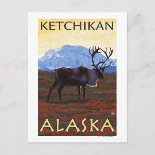 Carte Postale Scène Caribou - Ketchikan, Alaska