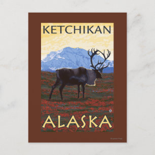 Carte Postale Scène Caribou - Ketchikan, Alaska