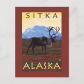 Carte Postale Scène Caribou - Sitka, Alaska (Devant)