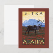 Carte Postale Scène Caribou - Sitka, Alaska (Devant / Derrière)