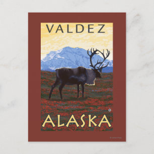 Carte Postale Scène Caribou - Valdez, Alaska