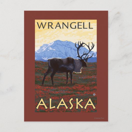 Carte Postale Scène Caribou - Wrangell, Alaska (Devant)