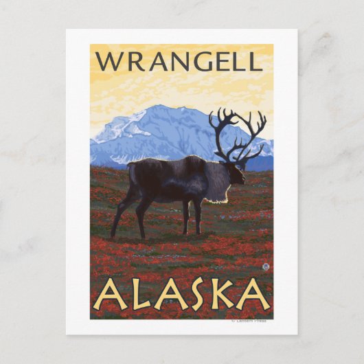 Carte Postale Scène Caribou - Wrangell, Alaska (Devant)