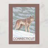Carte Postale Scène ConnecticutWolf (Devant)