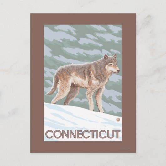 Carte Postale Scène ConnecticutWolf (Devant)