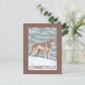 Carte Postale Scène ConnecticutWolf (Debout devant)