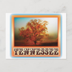 Carte Postale Scène d'arbre d'automne du Tennessee