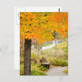 Carte Postale Scène d'automne (Devant / Derrière)