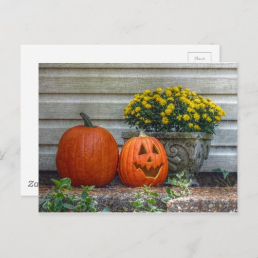 Carte Postale Scène d'automne (Devant / Derrière)