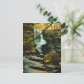 Carte Postale Scène d'automne de Fulmer Falls (Debout devant)