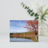 Carte Postale Scène d'automne de Perkins Pond (Debout devant)