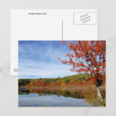 Carte Postale Scène d'automne de Perkins Pond (Devant / Derrière)