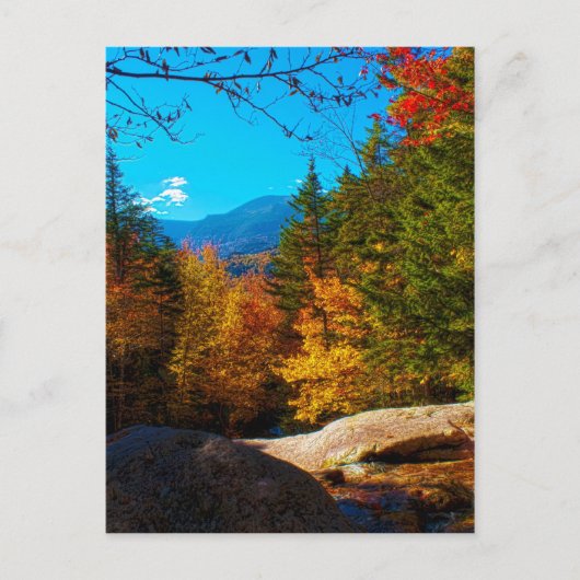 Carte Postale Scène d'automne du New Hampshire White Mountains 2 (Devant)