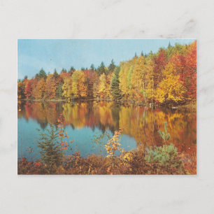 Carte Postale Scène d'automne vintage