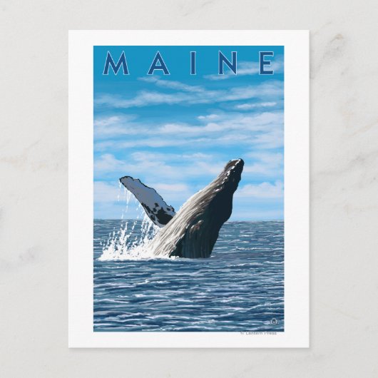 Carte Postale Scène de baleines à bosse du Maine (Devant)