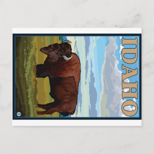 Carte Postale Scène De Bison - Idaho