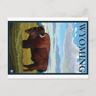 Carte Postale Scène de bison - Wyoming