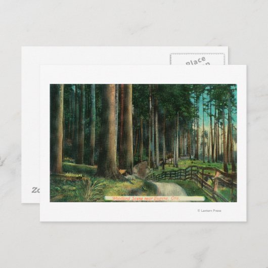 Carte Postale Scène de bois Eugène, OR (Devant / Derrière)