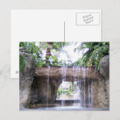 Carte Postale Scène de cascade tropicale à West Palm Beach (Devant / Derrière)