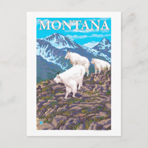 Carte Postale Scène de chèvres de montagne - Montana