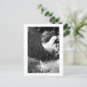 Carte Postale scène de cimetière (Debout devant)