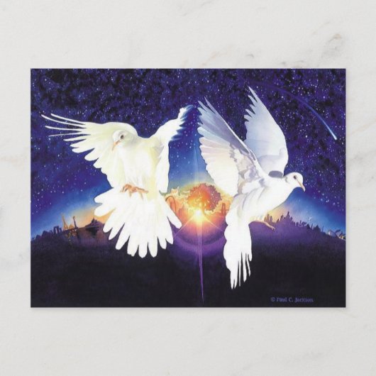 Carte Postale Scène de colombe "Pax in Terra" (Devant)