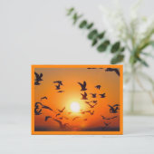 Carte Postale Scène de coucher de soleil bordure orange (Debout devant)