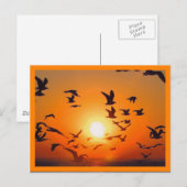 Carte Postale Scène de coucher de soleil bordure orange (Devant / Derrière)
