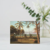 Carte Postale Scène de Floride, peinture d'art fin, (Debout devant)