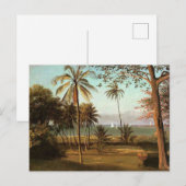 Carte Postale Scène de Floride, peinture d'art fin, (Devant / Derrière)