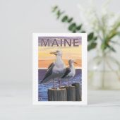 Carte Postale Scène de goélands du Maine (Debout devant)