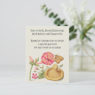 Carte Postale Scène de jardin avec fleurs, papillon et champigno