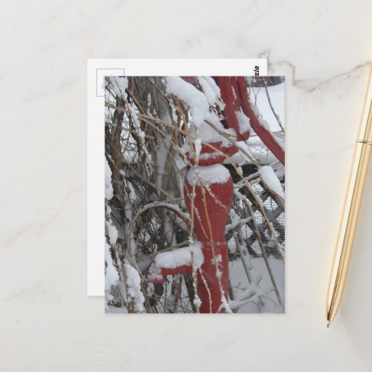 Carte Postale Scène de jardin enneigé (Devant/Arrière en situation)