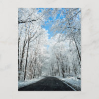 Scène de la route hivernale neige