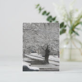 Carte Postale Scène De Neige (Debout devant)